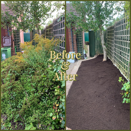 Flower bed landscaping Before and After bush removal